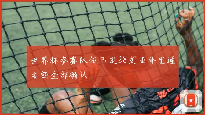 世界杯参赛队伍已定28支亚非直通名额全部确认