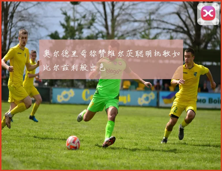 奥尔德里奇称赞维尔茨聪明机敏如比尔兹利般出色