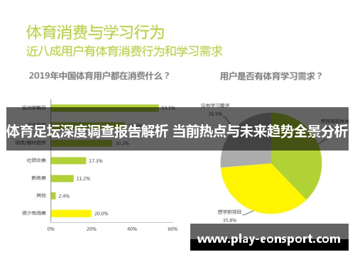 体育足坛深度调查报告解析 当前热点与未来趋势全景分析