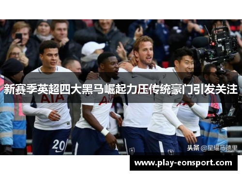 新赛季英超四大黑马崛起力压传统豪门引发关注