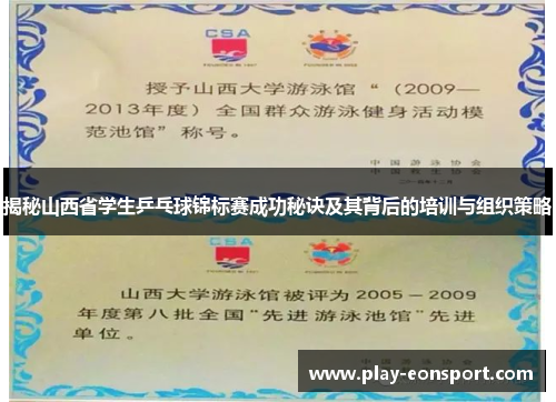 揭秘山西省学生乒乓球锦标赛成功秘诀及其背后的培训与组织策略