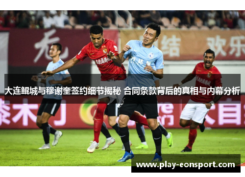 大连鲲城与穆谢奎签约细节揭秘 合同条款背后的真相与内幕分析