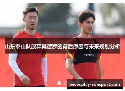 山东泰山队放弃桑德罗的背后原因与未来规划分析