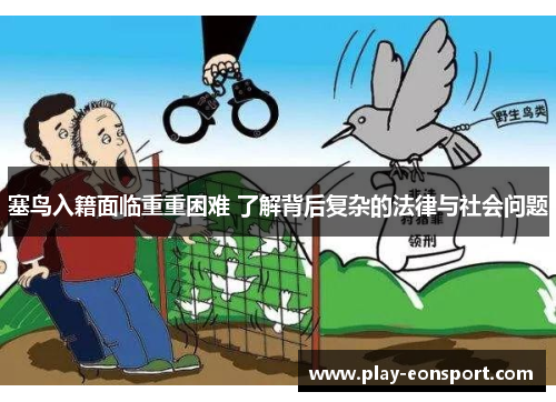 塞鸟入籍面临重重困难 了解背后复杂的法律与社会问题