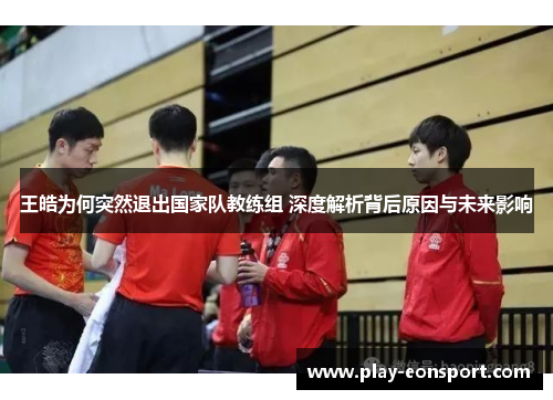 王皓为何突然退出国家队教练组 深度解析背后原因与未来影响