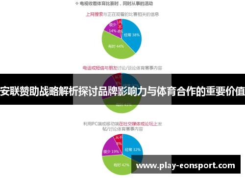安联赞助战略解析探讨品牌影响力与体育合作的重要价值